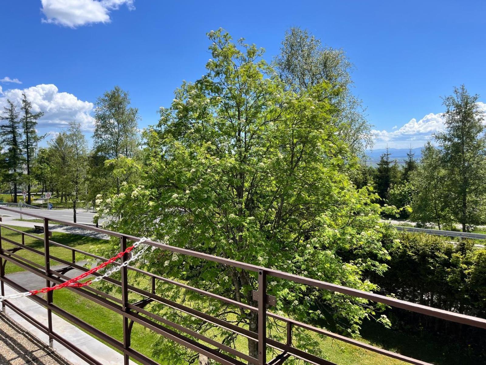 Penzion Villa Gerlach Vysoke Tatry Ngoại thất bức ảnh